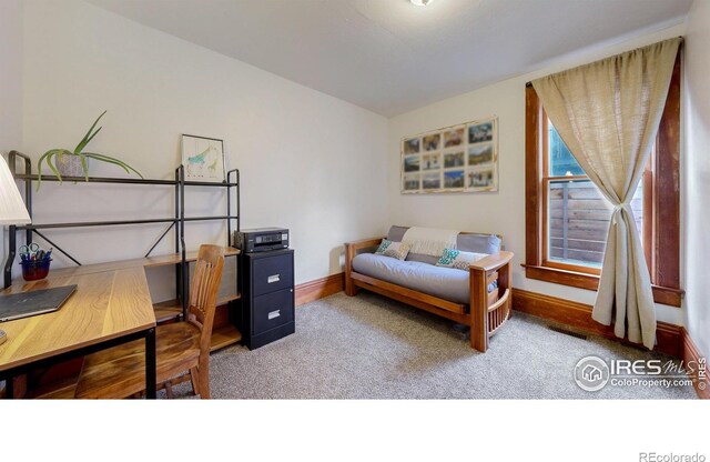 739 Washington Ave, Loveland, CO 80537 - photo 16