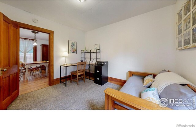 739 Washington Ave, Loveland, CO 80537 - photo 19