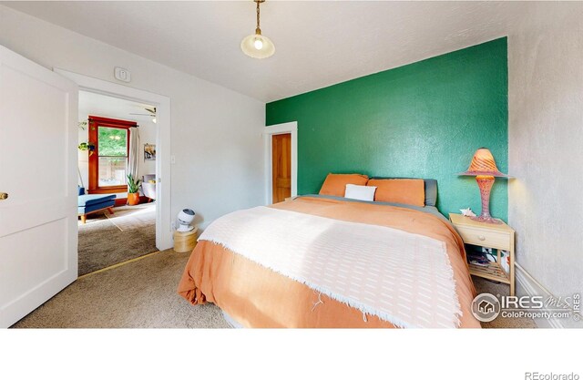 739 Washington Ave, Loveland, CO 80537 - photo 20
