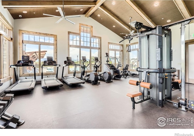 2744 Bear Springs Cir, Longmont, CO 80503 - gym featuring beamed ceiling, high vaulted ceiling, healthy amount of natural light, ceiling fan, and recessed lighting