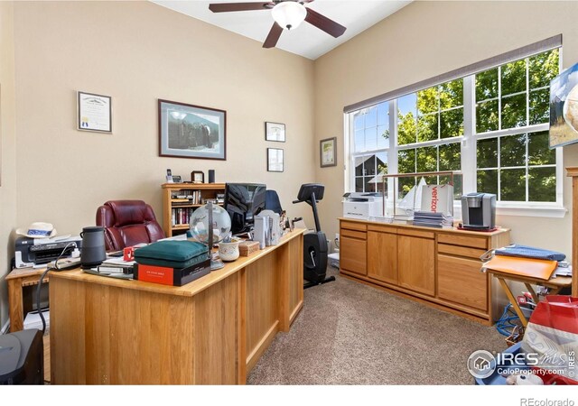 2196 Winding Dr, Longmont, CO 80504 - photo 6