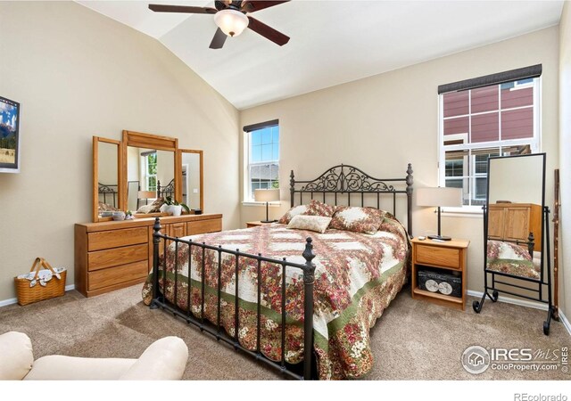2196 Winding Dr, Longmont, CO 80504 - photo 14