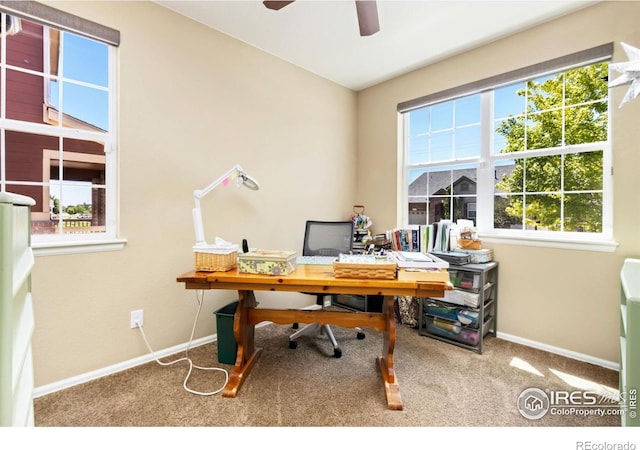 2196 Winding Dr, Longmont, CO 80504 - photo 19