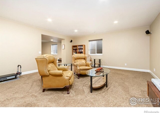 2196 Winding Dr, Longmont, CO 80504 - photo 25