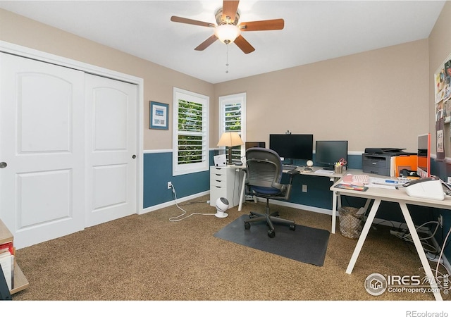6582 Spanish Bay Dr, Windsor, CO 80550 - office featuring a ceiling fan and carpet floors