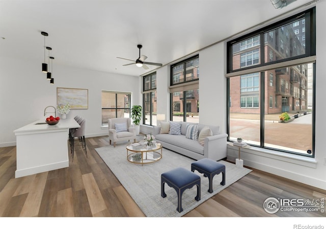 3100 Huron St Unit 1D, Denver, CO 80202 - living room with healthy amount of natural light, ceiling fan, and wood finished floors