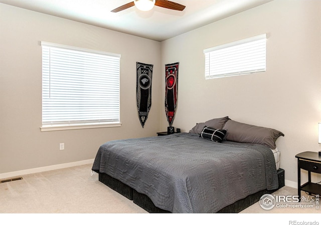 507 Pronghorn Ct, Wiggins, CO 80654 - photo 12