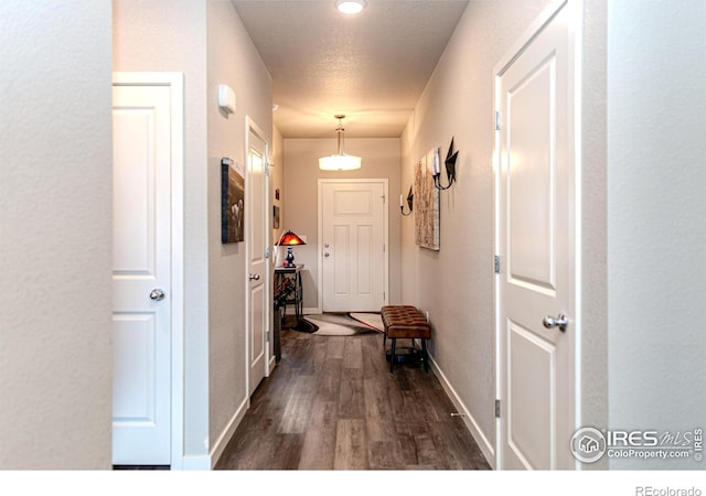 507 Pronghorn Ct, Wiggins, CO 80654 - photo 4