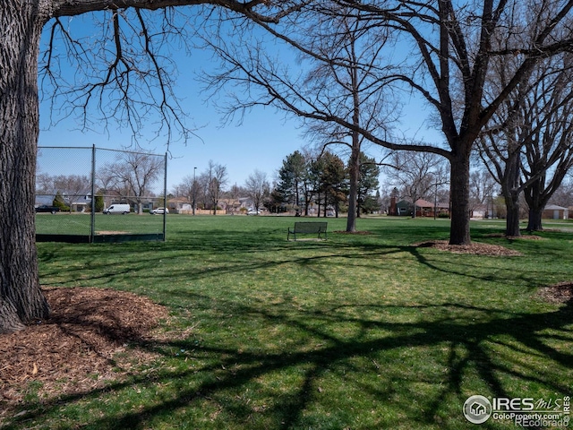 1750 Trenton St, Denver, CO 80220 - view of yard