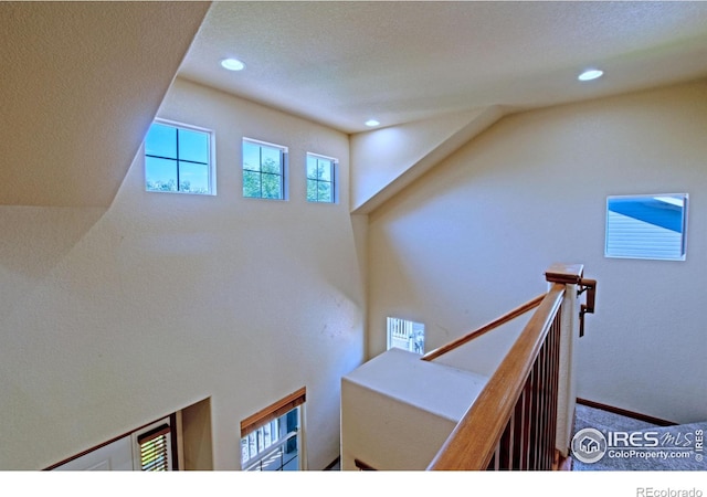 3268 White Buffalo Dr, Wellington, CO 80549 - stairs with healthy amount of natural light, recessed lighting, and carpet