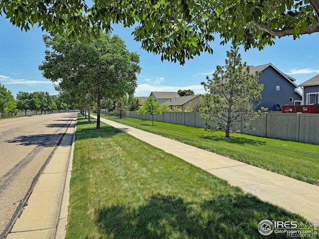 3268 White Buffalo Dr, Wellington, CO 80549 - view of asphalt street with sidewalks and curbs