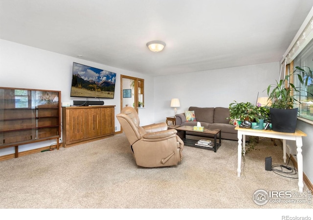 408 Riddle Dr, Fort Collins, CO 80521 - view of carpeted living area