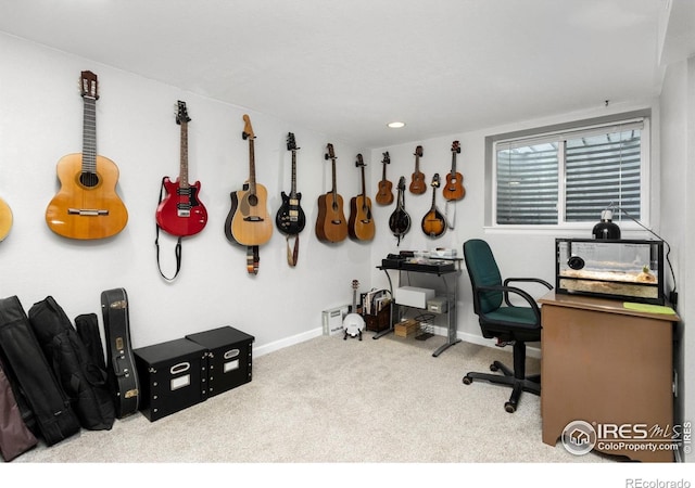 408 Riddle Dr, Fort Collins, CO 80521 - carpeted home office with baseboards