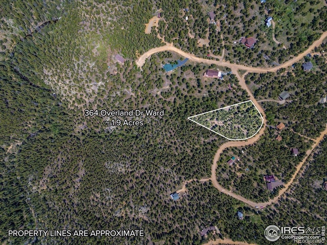 364 Overland Dr, Ward, CO 80481 - photo 1