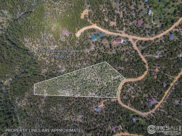 398 Overland Dr, Ward, CO 80481 - photo 1