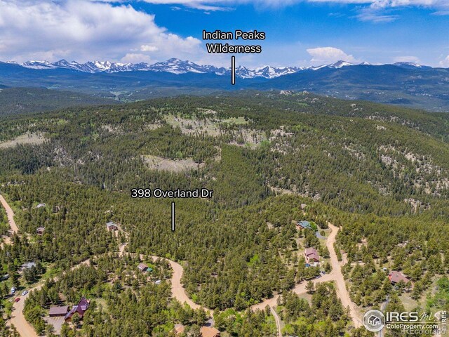 398 Overland Dr, Ward, CO 80481 - photo 4