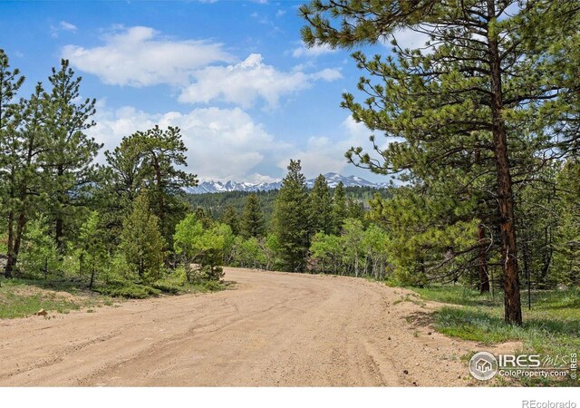 398 Overland Dr, Ward, CO 80481 - photo 5