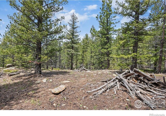 398 Overland Dr, Ward, CO 80481 - photo 6