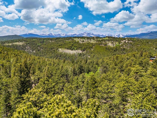 398 Overland Dr, Ward, CO 80481 - photo 7