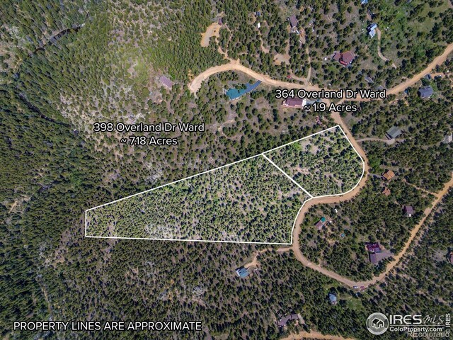 398 Overland Dr, Ward, CO 80481 - photo 8