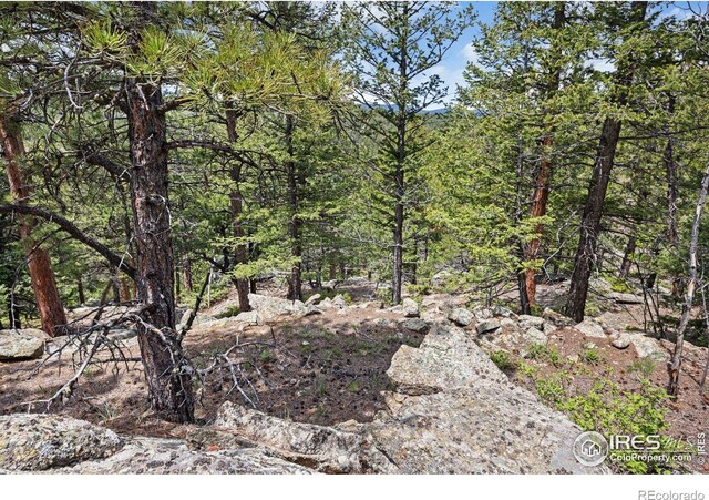 398 Overland Dr, Ward, CO 80481 - photo 9