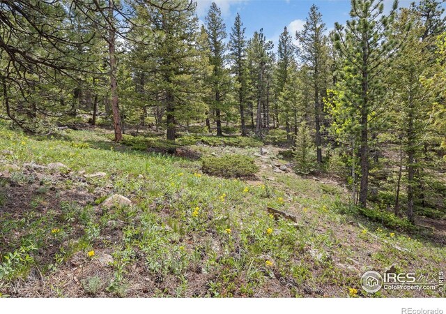 398 Overland Dr, Ward, CO 80481 - photo 10