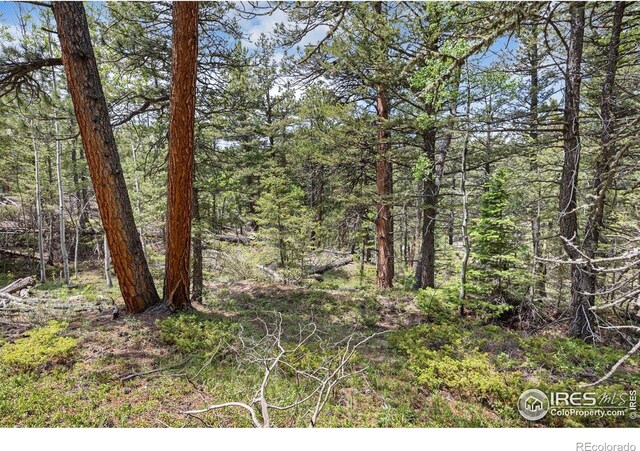 398 Overland Dr, Ward, CO 80481 - photo 11