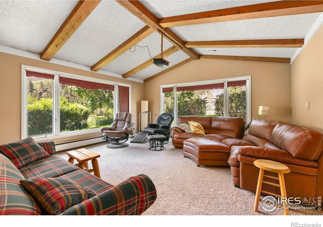 23 Wild River Rd, Bellvue, CO 80512