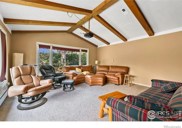 23 Wild River Rd, Bellvue, CO 80512