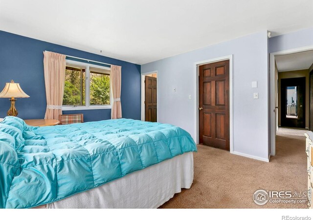 23 Wild River Rd, Bellvue, CO 80512