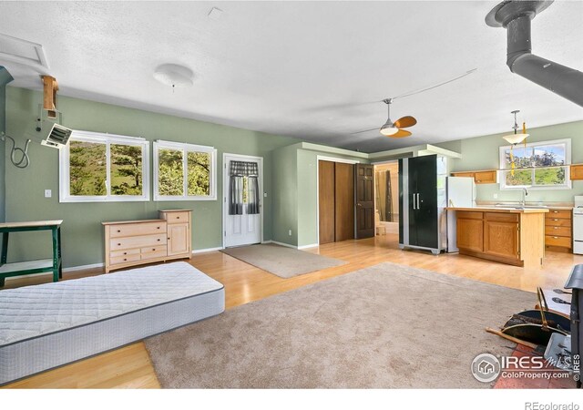 23 Wild River Rd, Bellvue, CO 80512