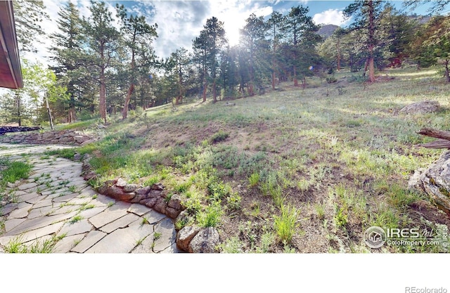 2029 Uplands Cir, Estes Park, CO 80517 - photo 32