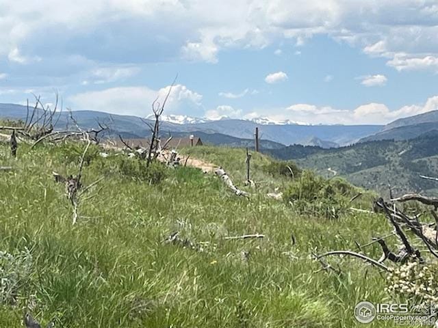 598 Mount Mcconnell Dr, Livermore, CO 80536