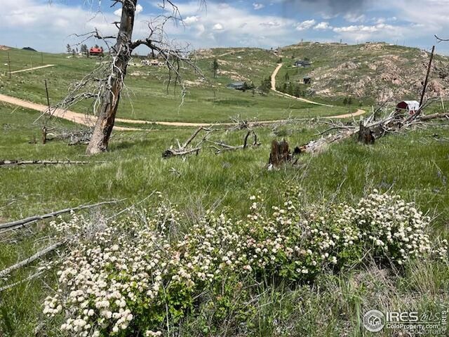 598 Mount Mcconnell Dr, Livermore, CO 80536
