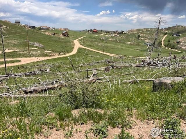 598 Mount Mcconnell Dr, Livermore, CO 80536