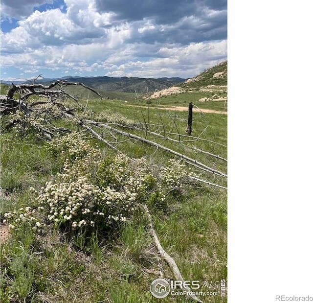 598 Mount Mcconnell Dr, Livermore, CO 80536