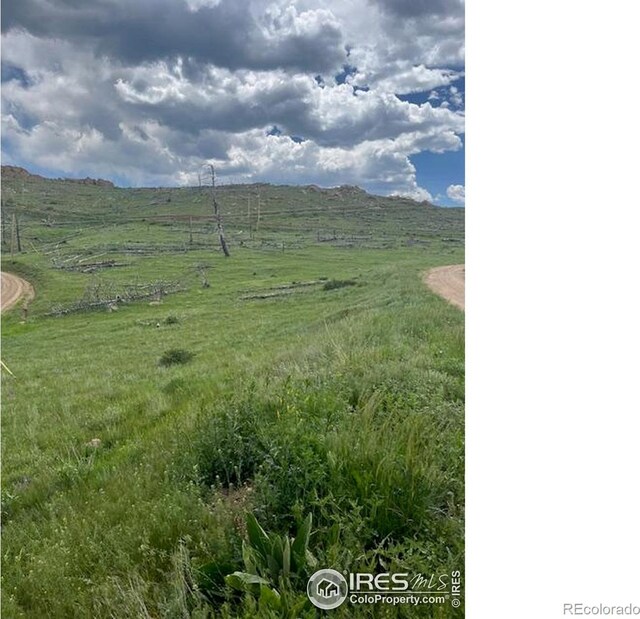 598 Mount Mcconnell Dr, Livermore, CO 80536