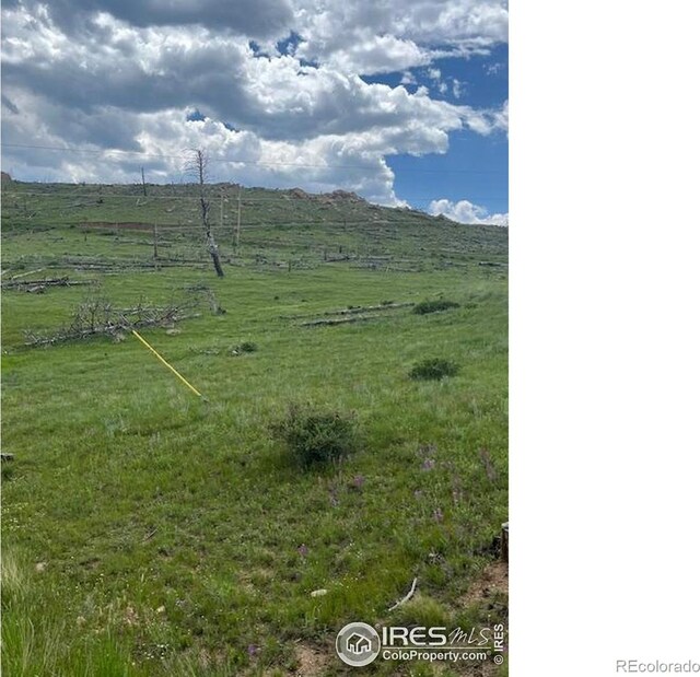 598 Mount Mcconnell Dr, Livermore, CO 80536