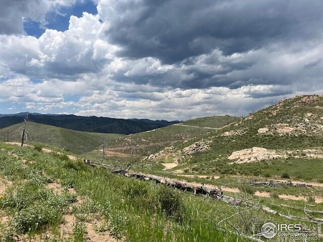 598 Mount Mcconnell Dr, Livermore, CO 80536