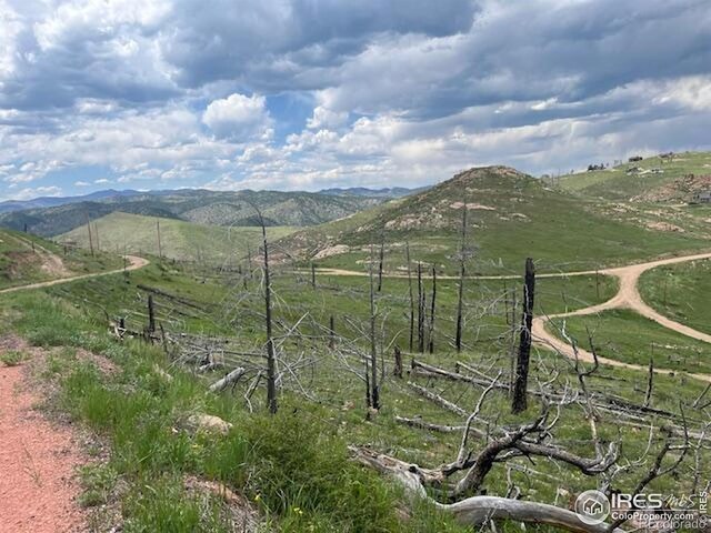 598 Mount Mcconnell Dr, Livermore, CO 80536