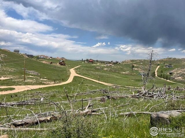 598 Mount Mcconnell Dr, Livermore, CO 80536