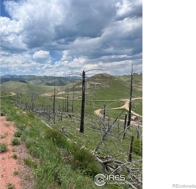 598 Mount Mcconnell Dr, Livermore, CO 80536