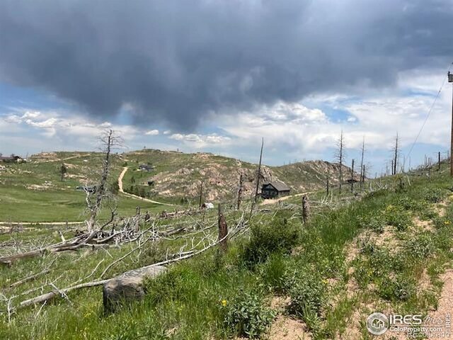 598 Mount Mcconnell Dr, Livermore, CO 80536