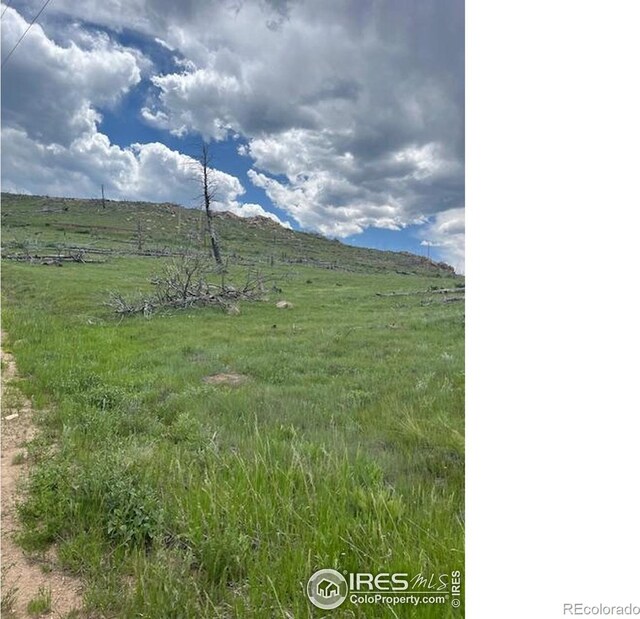 598 Mount Mcconnell Dr, Livermore, CO 80536