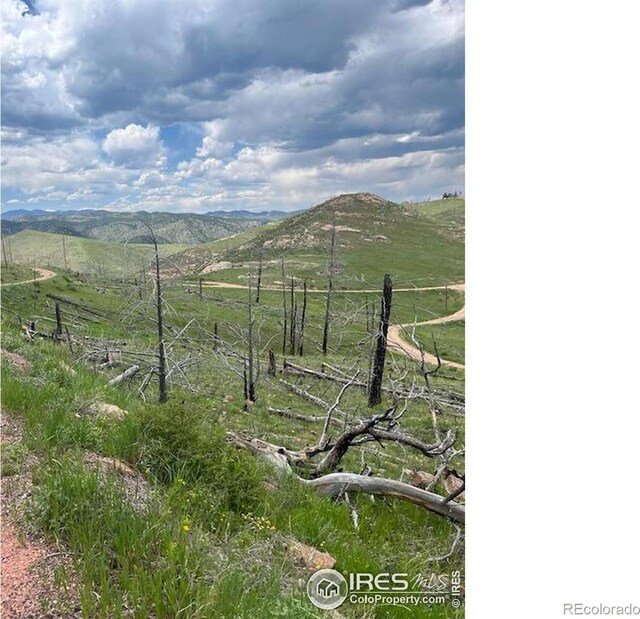 598 Mount Mcconnell Dr, Livermore, CO 80536