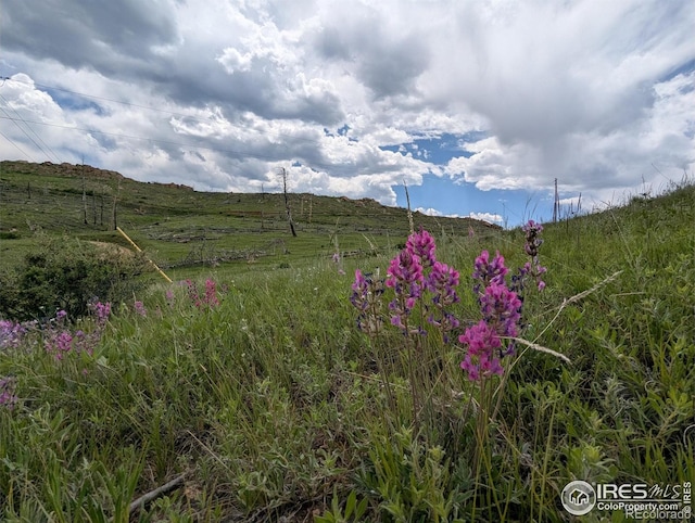 598 Mount Mcconnell Dr, Livermore, CO 80536
