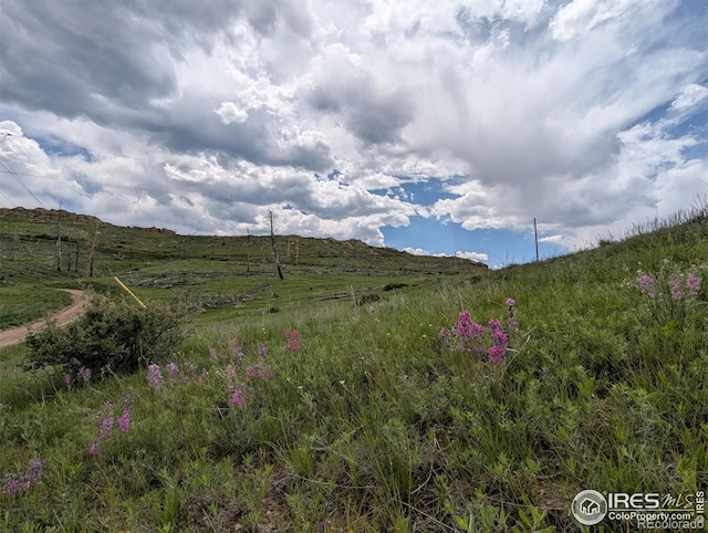 598 Mount Mcconnell Dr, Livermore, CO 80536