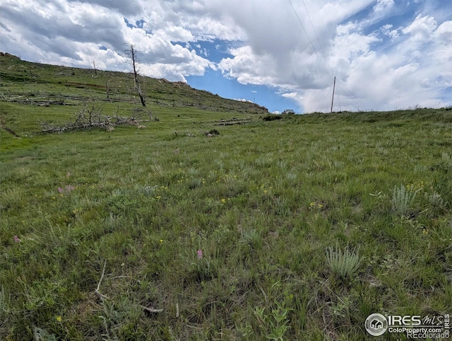 598 Mount Mcconnell Dr, Livermore, CO 80536