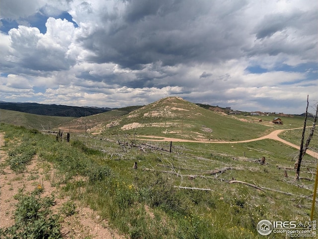 598 Mount Mcconnell Dr, Livermore, CO 80536