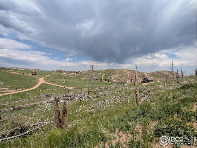 598 Mount Mcconnell Dr, Livermore, CO 80536